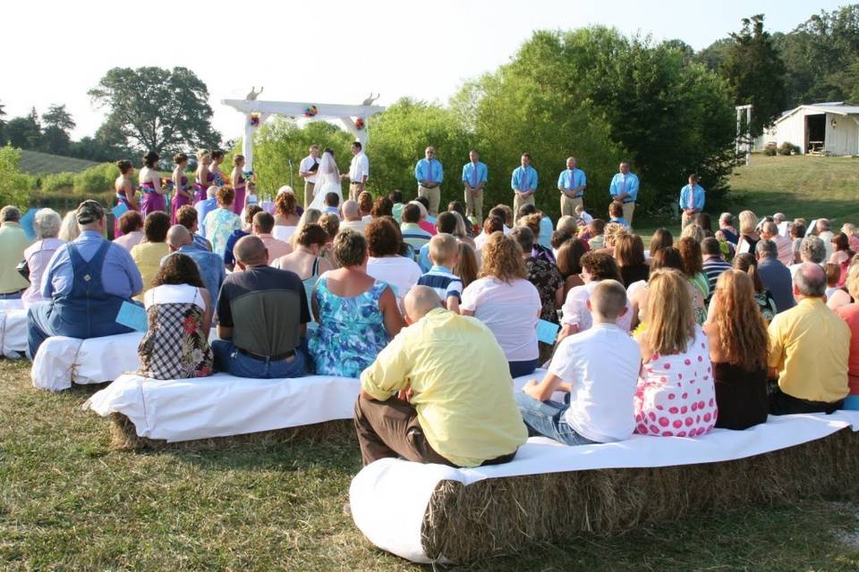 Cedar Pond Farms