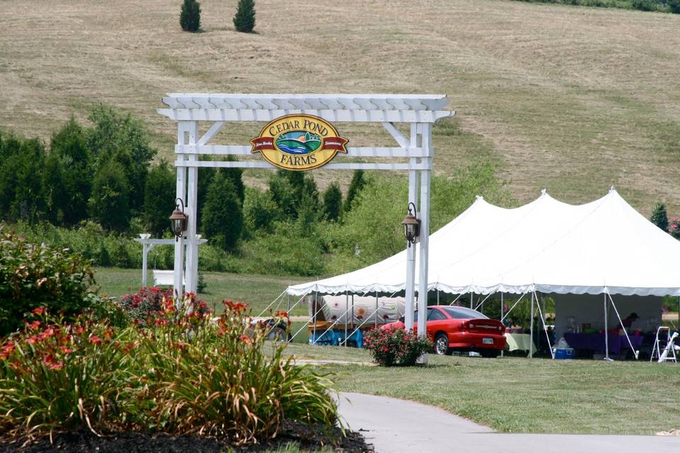 Cedar Pond Farms