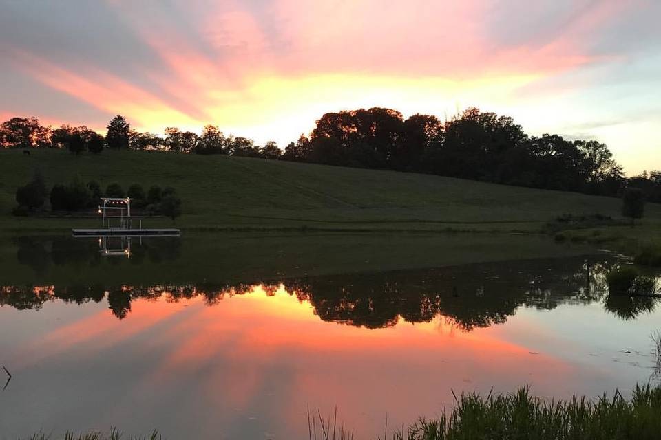 Cedar Pond Farms