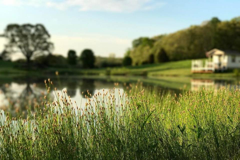 Cedar Pond Farms