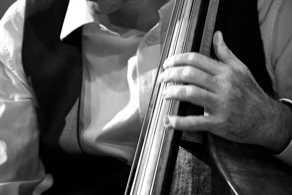 Double Bass