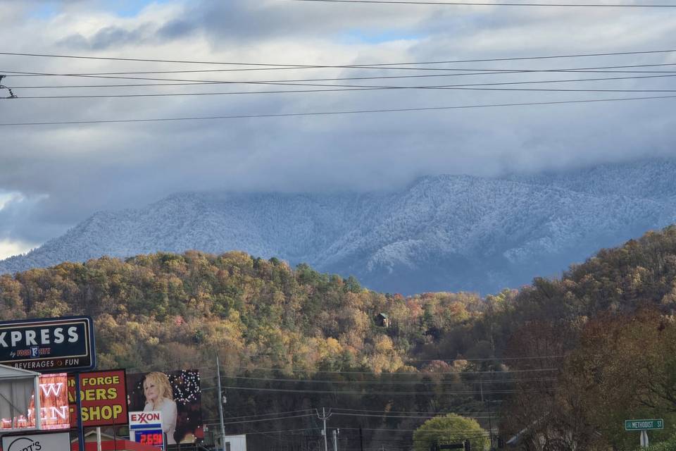 Views from the Parkway