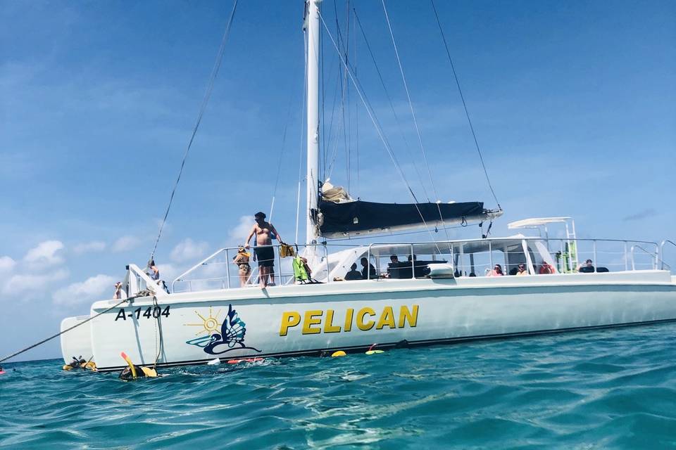 Catamaran snorkeling