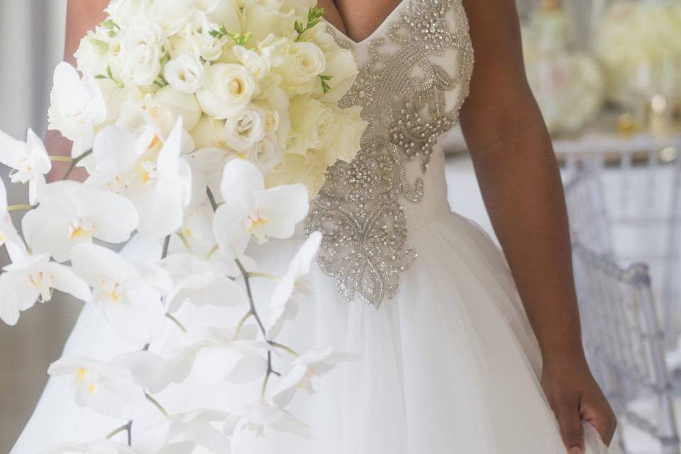 Nadia Holmes Photography