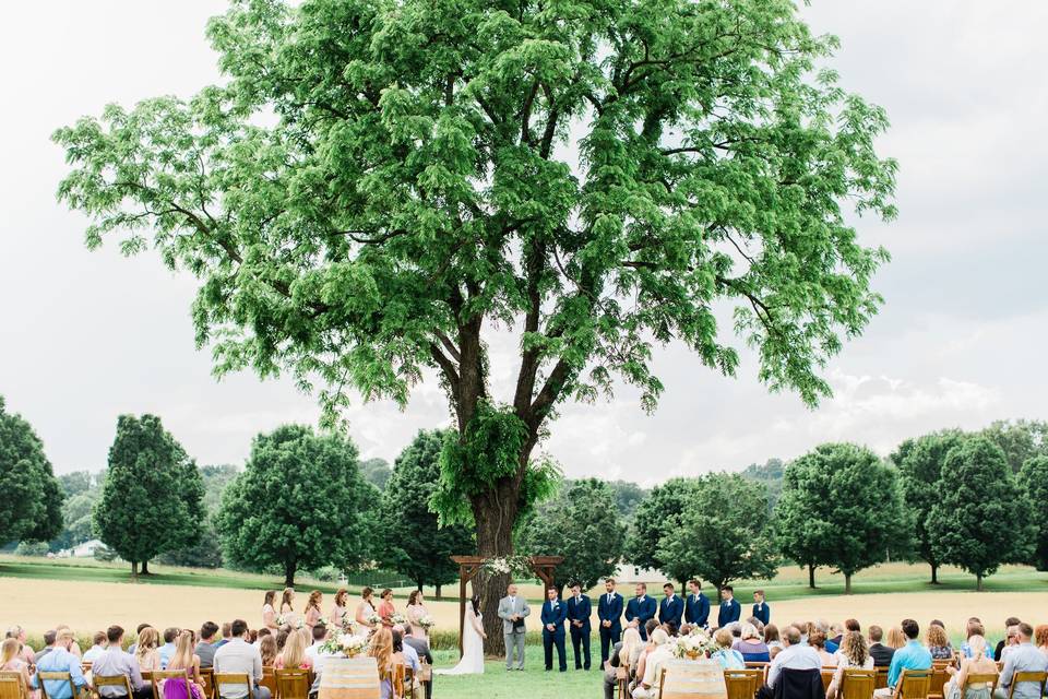 June 2018 Wedding