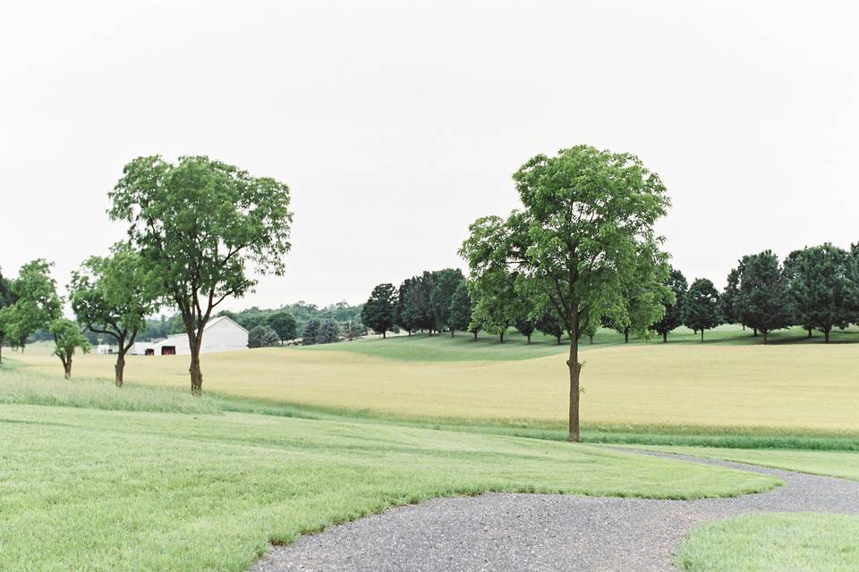 Path to Ceremony Field