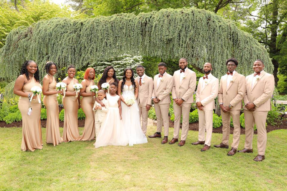 Wedding Photos