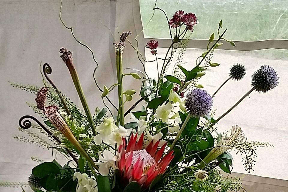 SketchGarden