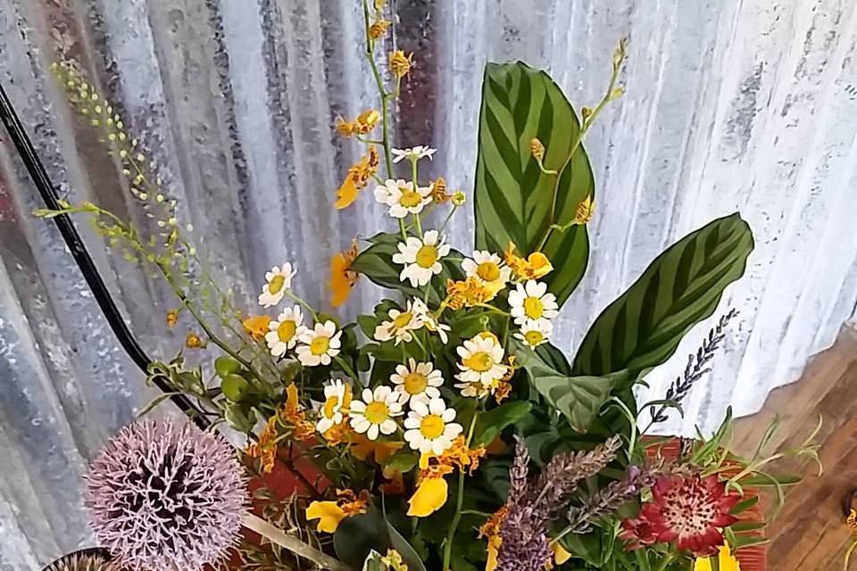 SketchGarden