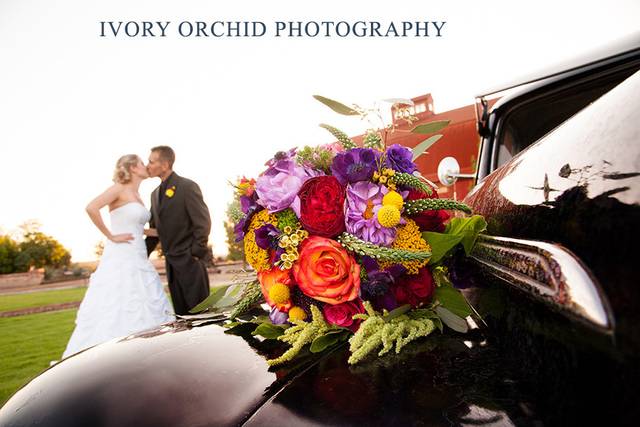 Ivory Orchid Photography