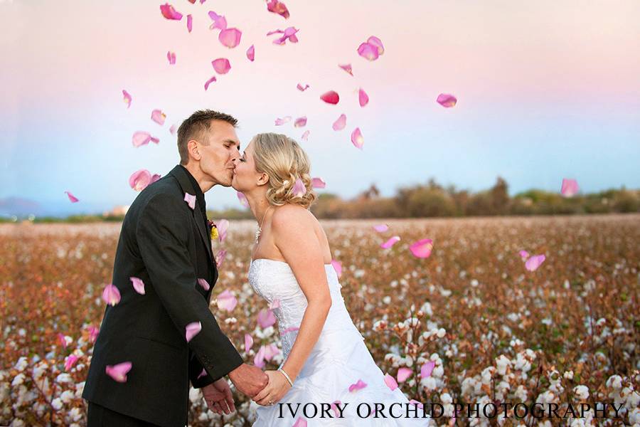 Ivory Orchid Photography