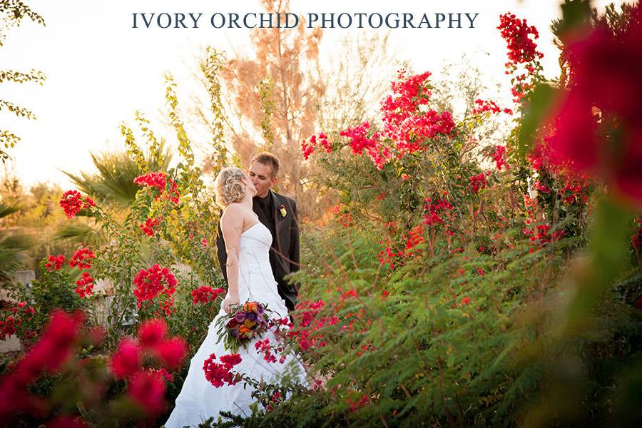 Ivory Orchid Photography