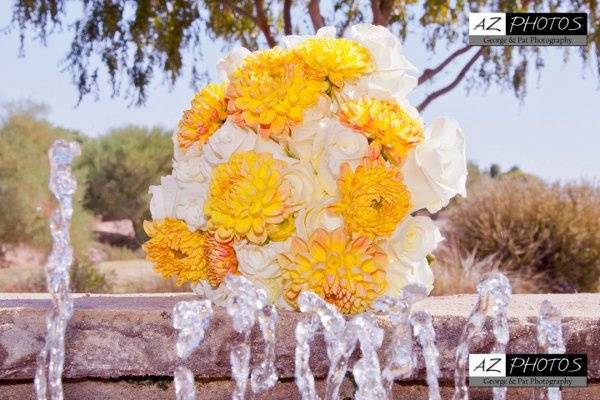 Crazy Daisies Flowers & Weddings