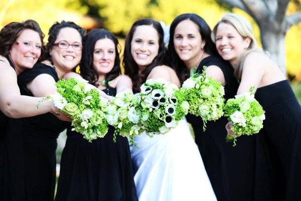 Crazy Daisies Flowers & Weddings