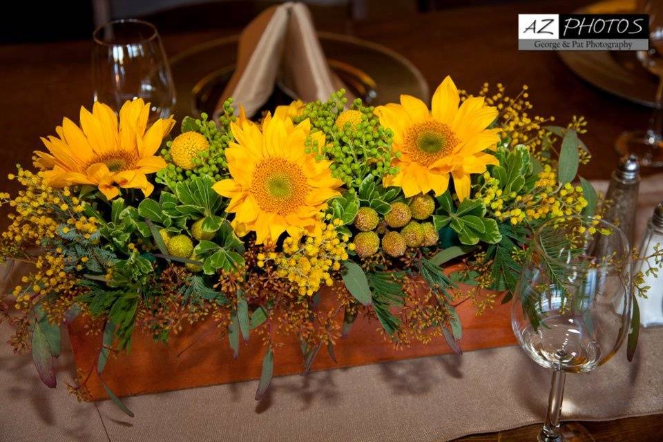 Crazy Daisies Flowers & Weddings