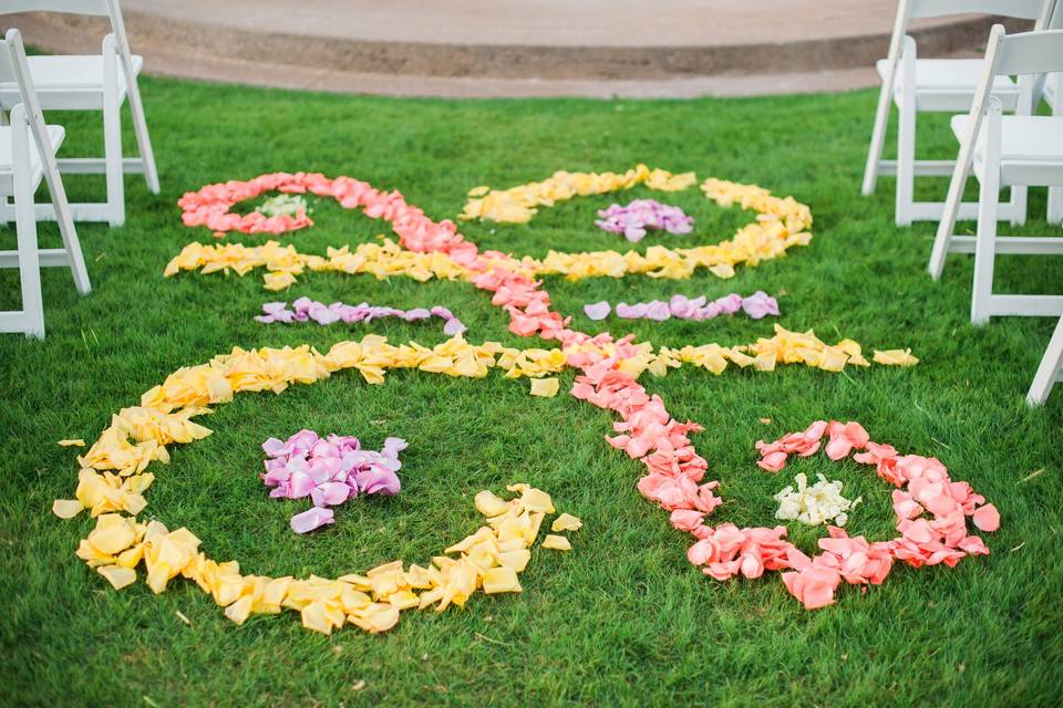 Yellow and pink petals