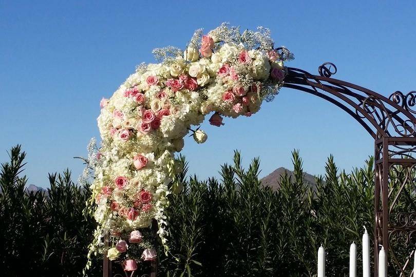 Crazy Daisies Flowers & Weddings