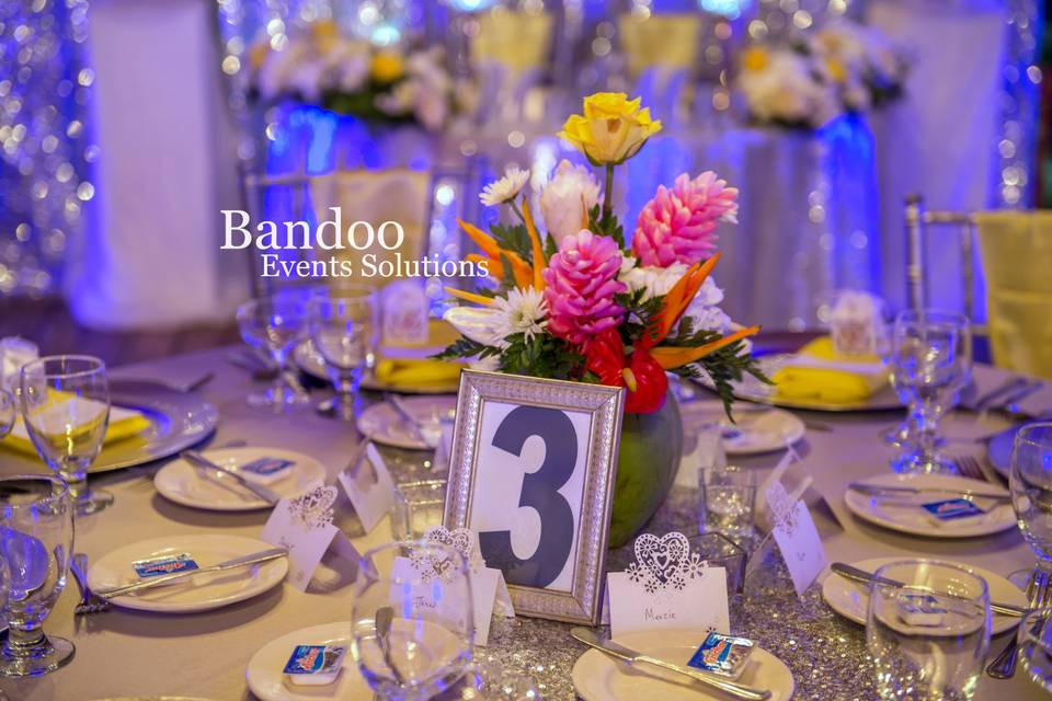 Bandoo Events Solutions