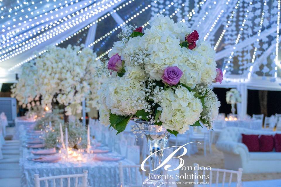 Bandoo Events Solutions