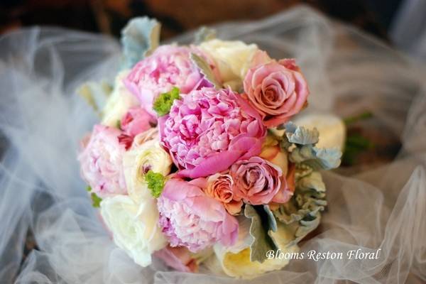 Blooms Reston Floral