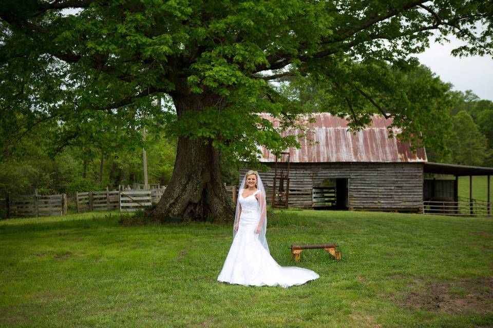 Paula Davis Wedding Photography