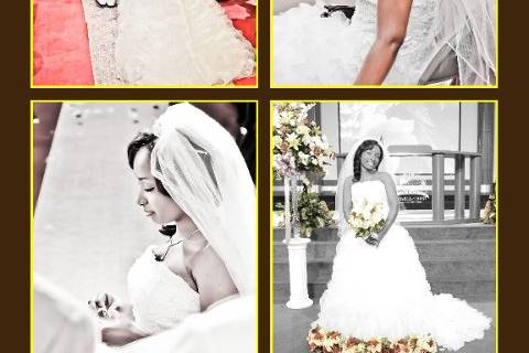 Wiley's Photography