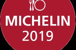 Michelin Plate Logo