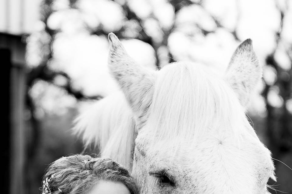 Bride and gorgeous horse