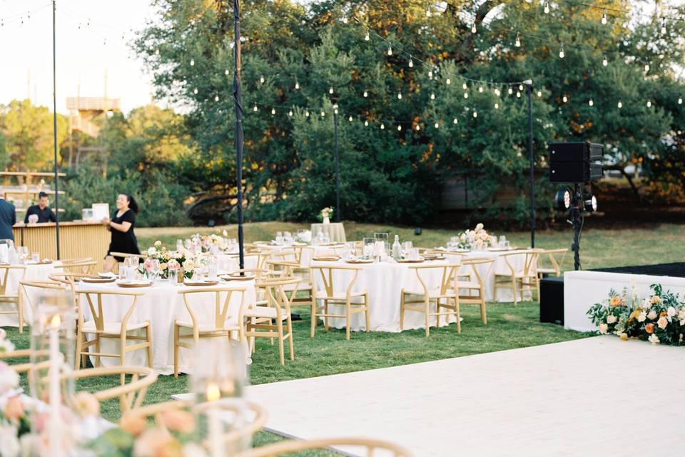 Reception in The Meadow