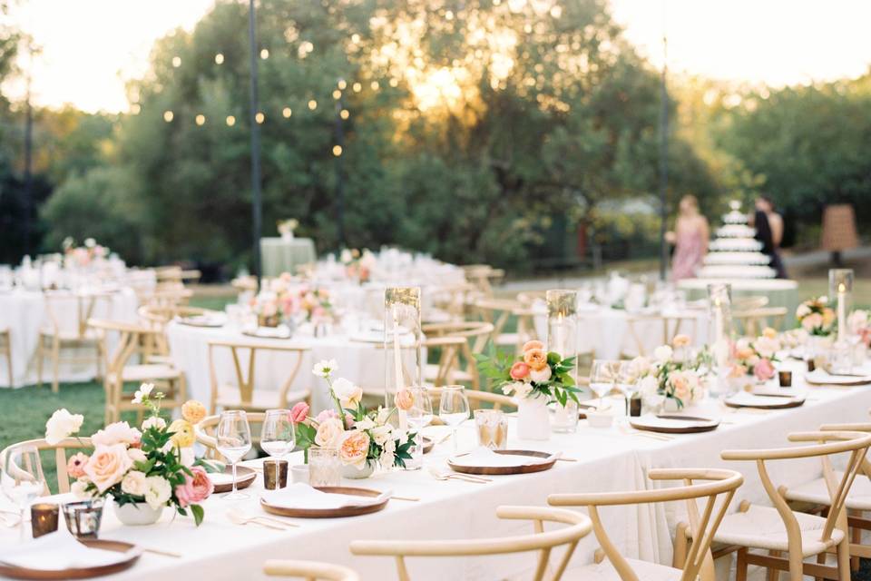 Reception at The Meadow
