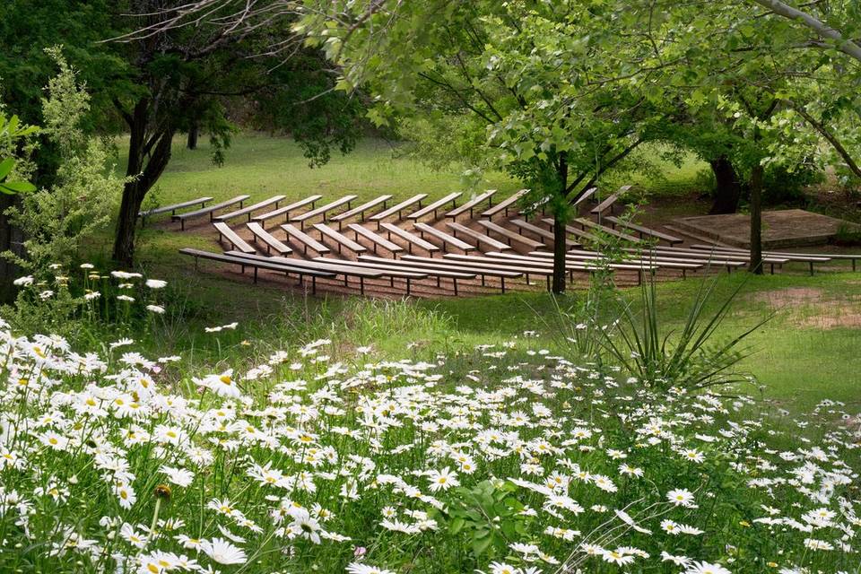 The Ampitheater