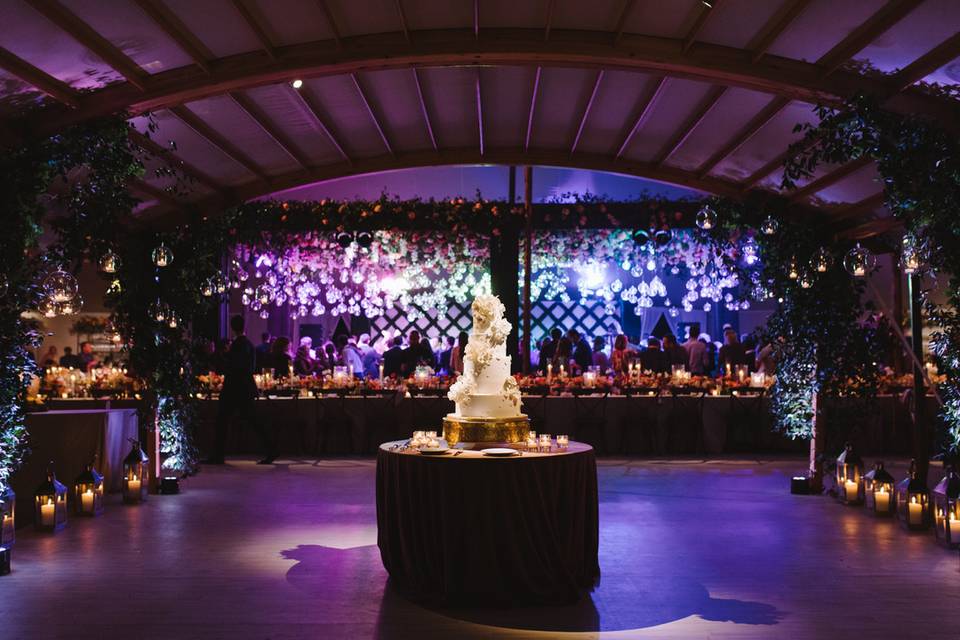 Reception in The Field