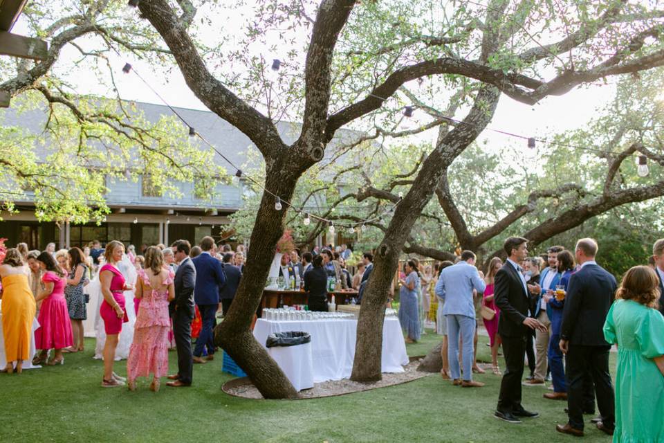 Cocktail Hour in Rose Garden