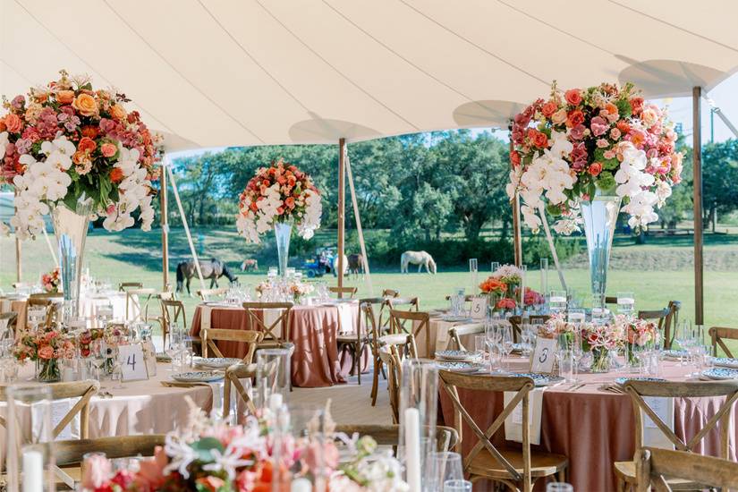 Tented Reception in The Field