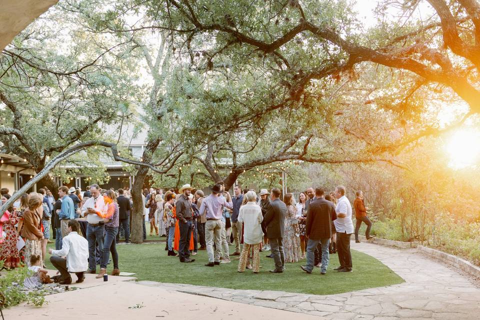 Cocktail Hour in Rose Garden
