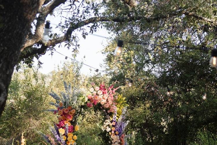Ceremony in The Rose Garden