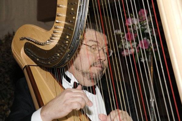 David Ice Elegant Harp Music