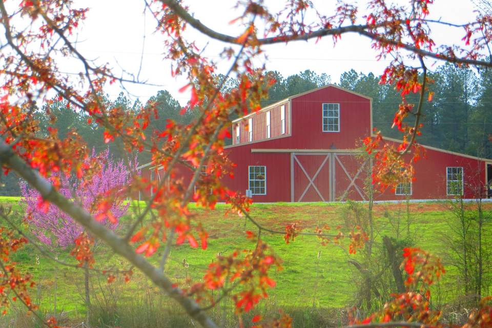 Picture of the main barn in the spring from across the two-and-a-half acre pond.