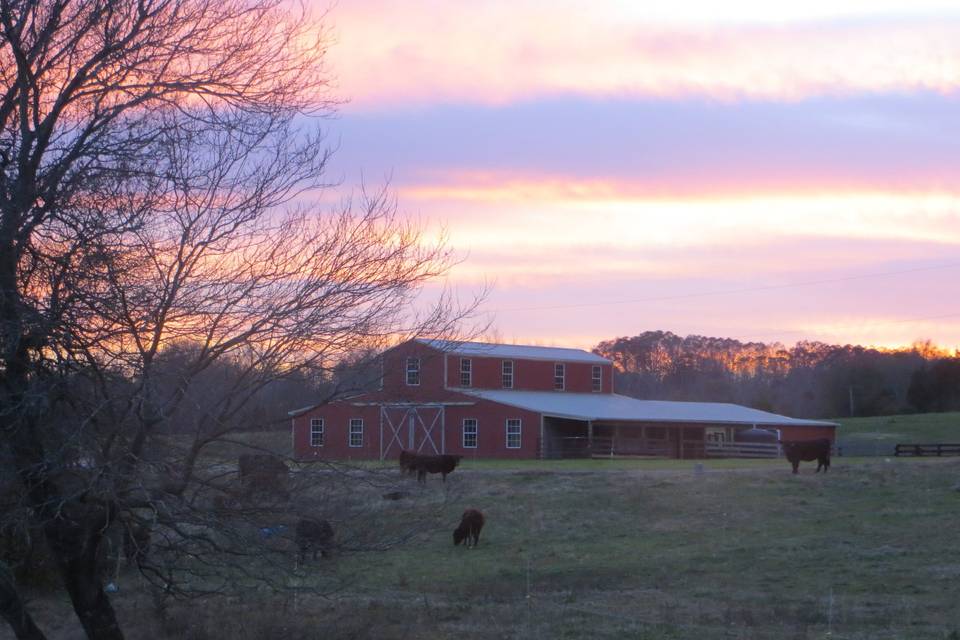Picture looking west towards the main barn. The farm is home to cows, horses, pigs, chickens and tons of wildlife.