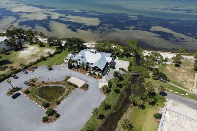 Ariel Shot