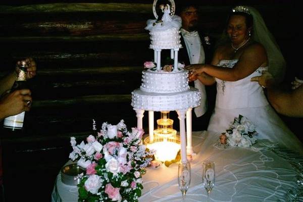 Western Theme (see topper). Beautifully displayed when they turned the lights down, the cake was definitely the most admired item during this part of the celebration.