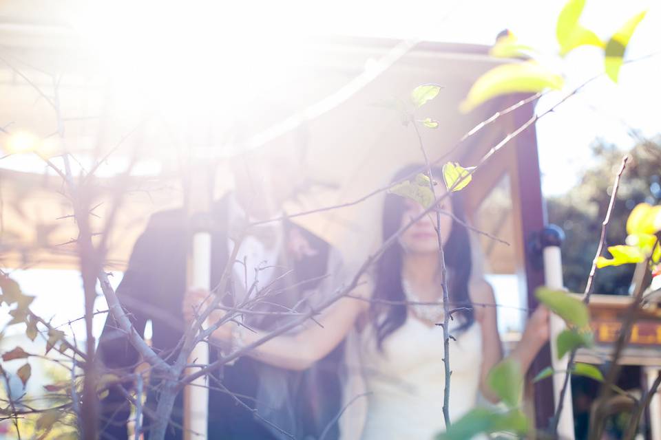 Wilson Lee Weddings