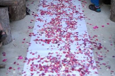 Rose petal aisle. Eco-friendly, freeze dried rose petals from Flyboy Naturals.