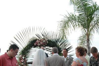 Aleshia's aisle with wedding petals from Flyboy Naturals.