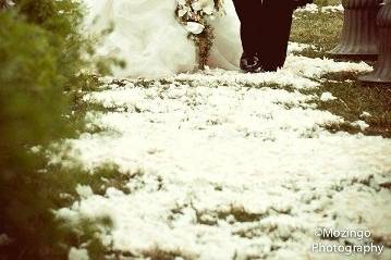 Ashley & Clay's Aisle with Peony Petals