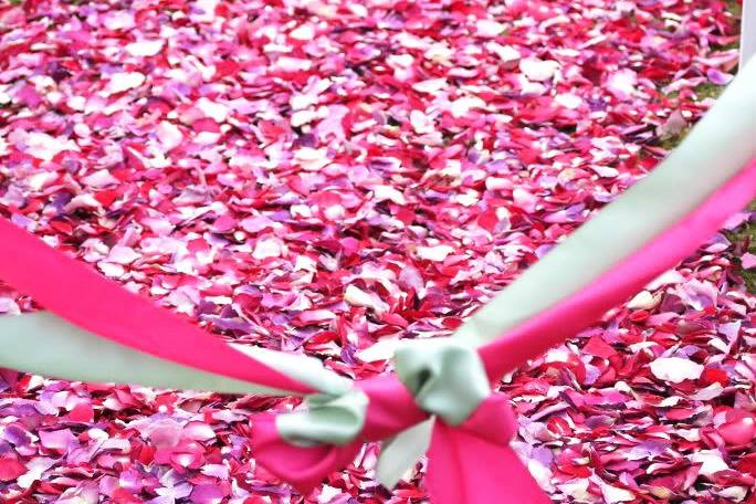 Stunning wedding aisle with Flyboy Naturals Eco-friendly Rose Petals. Wedding took place in Iceland.Photo by Miss Ann.