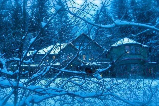 Winter Wonderland