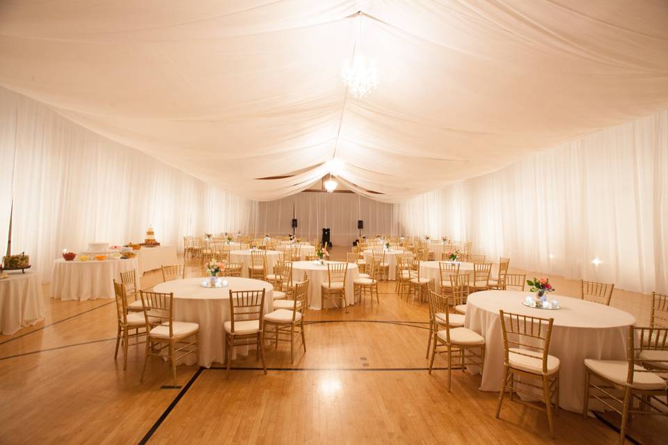 Wedding Draping