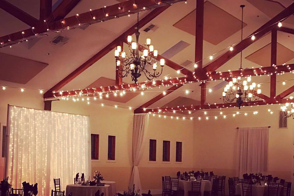 Flower Farm Draping + Lights