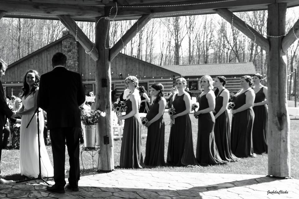 Newlyweds, bridesmaids, and groomsmen